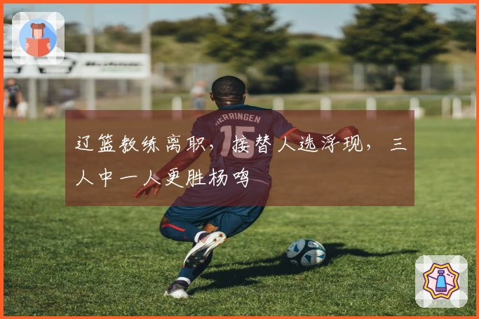 辽篮教练离职，接替人选浮现，三人中一人更胜杨鸣