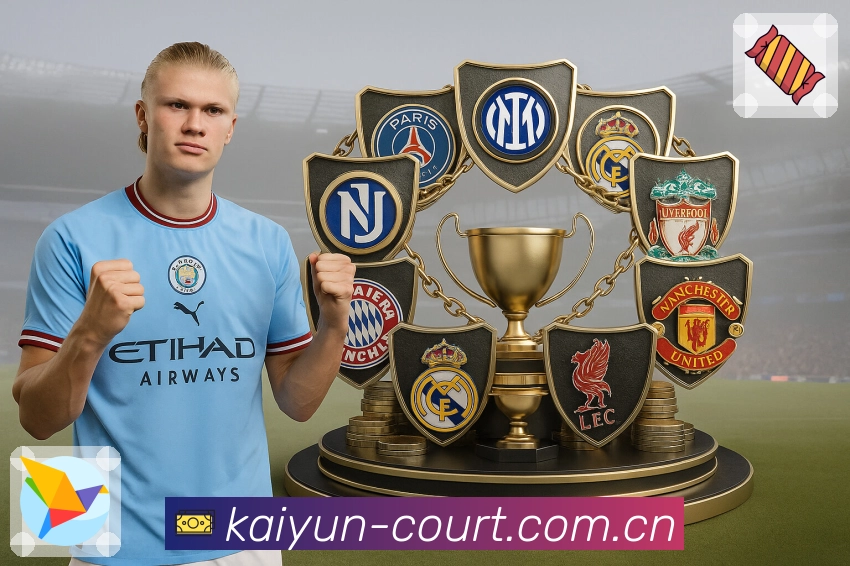 开云APP 高清赛事图